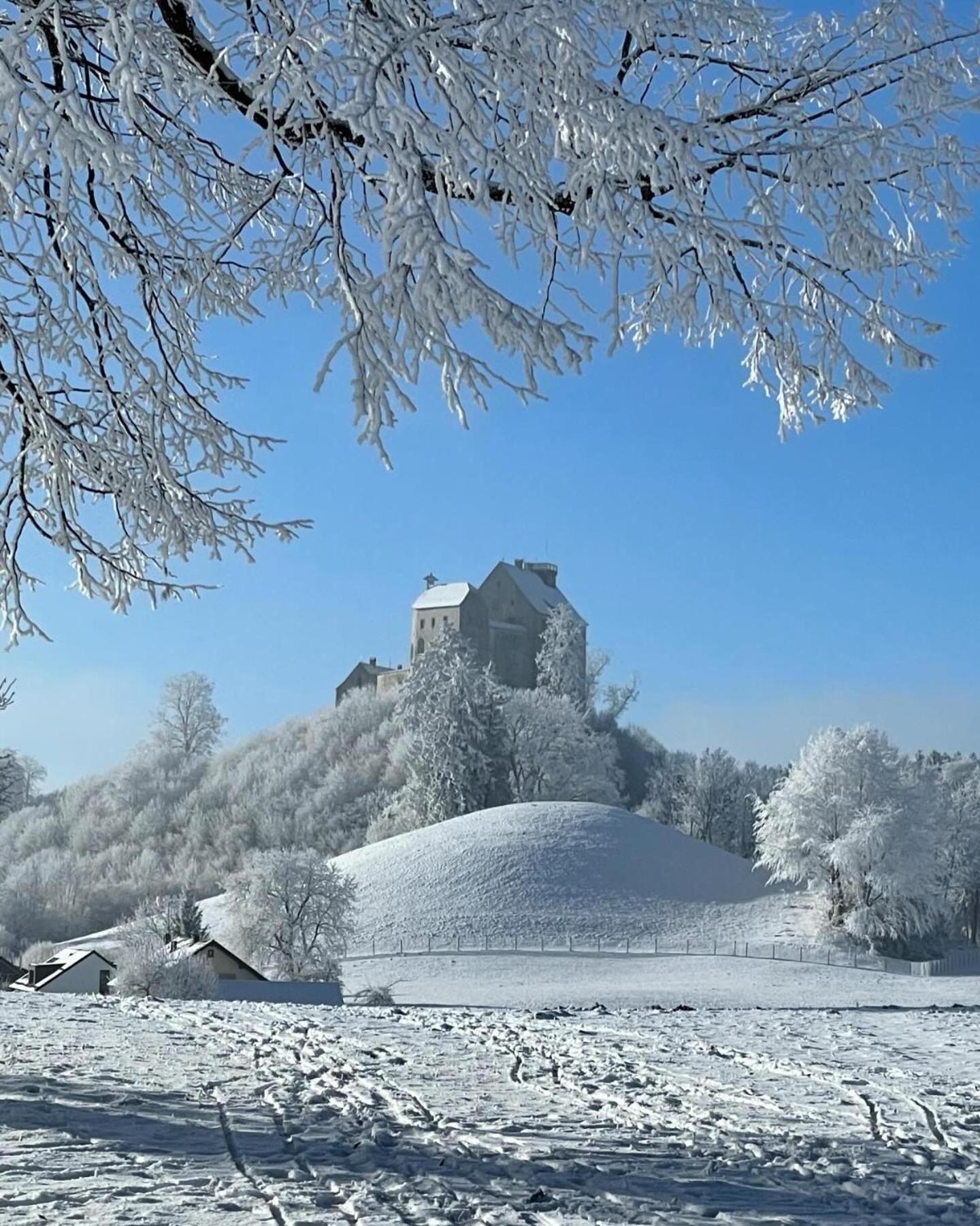 Am Kohlenberg Appartement Waldburg Buitenkant foto